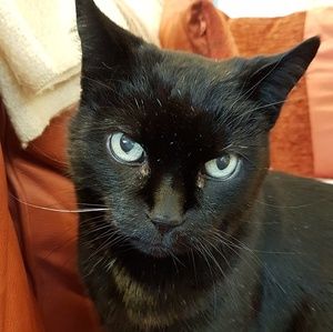 Meet your Posher, Lynn